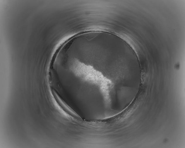 X0000097480995200802291354
