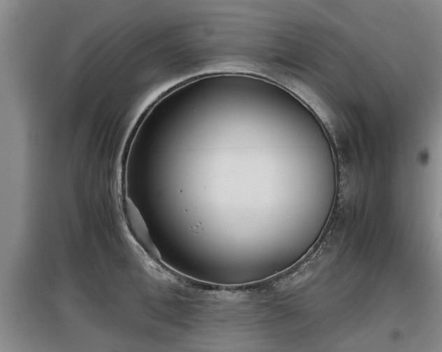 X0000097480996200802291354