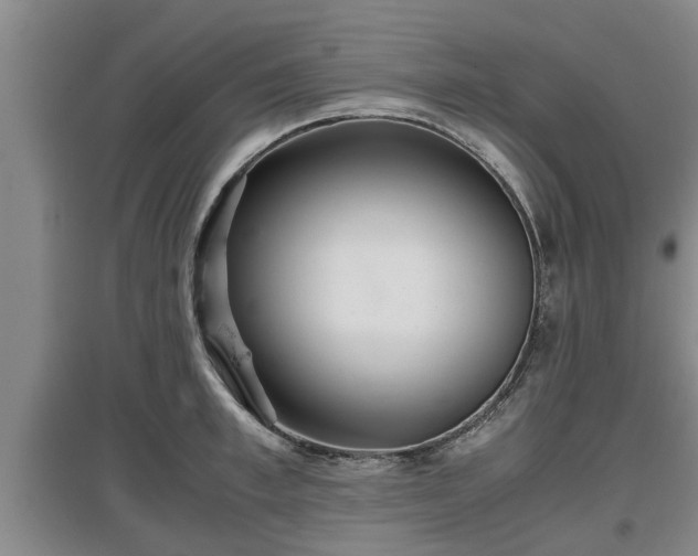 X0000097480997200802291354