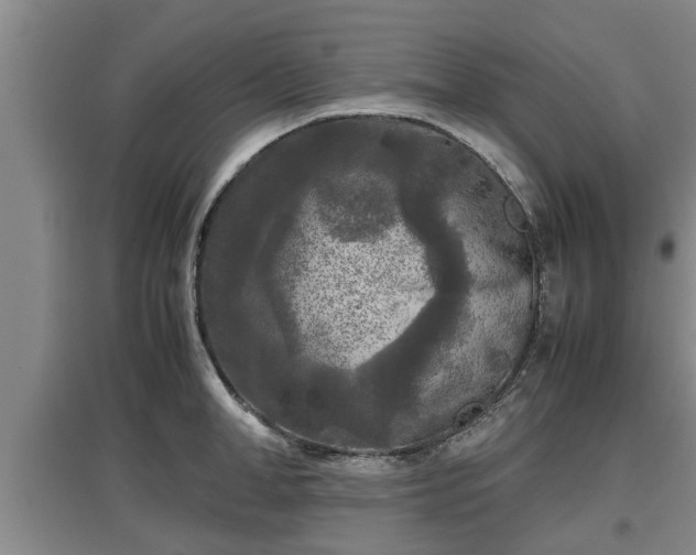 X0000097480998200802291354