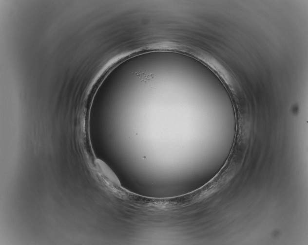 X0000097481000200802291354
