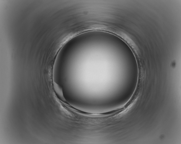 X0000097481001200802291354