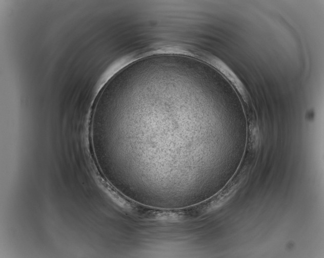 X0000097481002200802291354