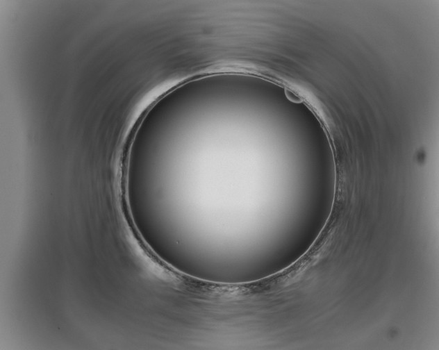 X0000097481003200802291354