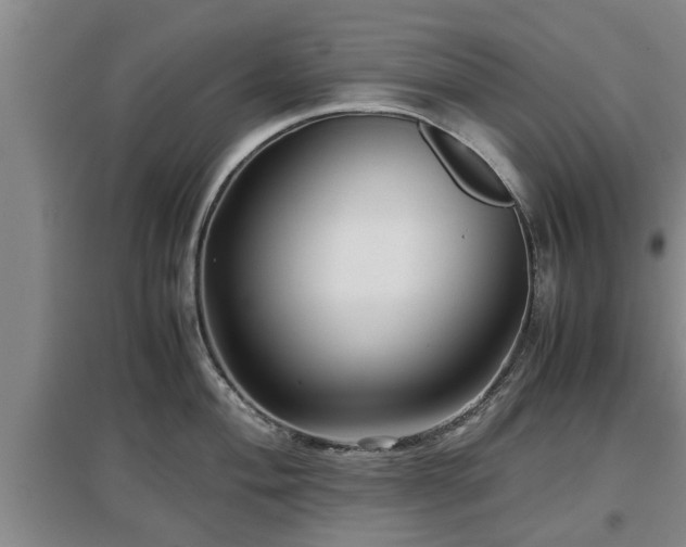 X0000097481004200802291354