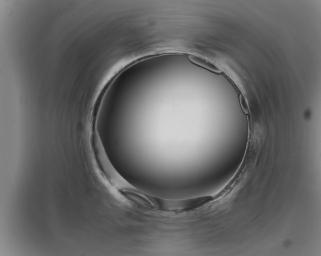 X0000097481005200802291354