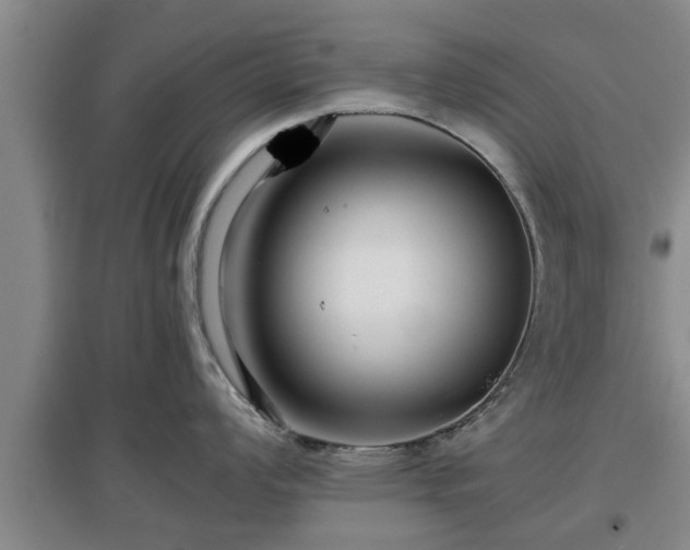 X0000097481008200802291354