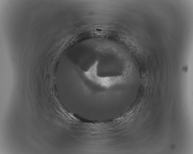 X0000097481009200802291353