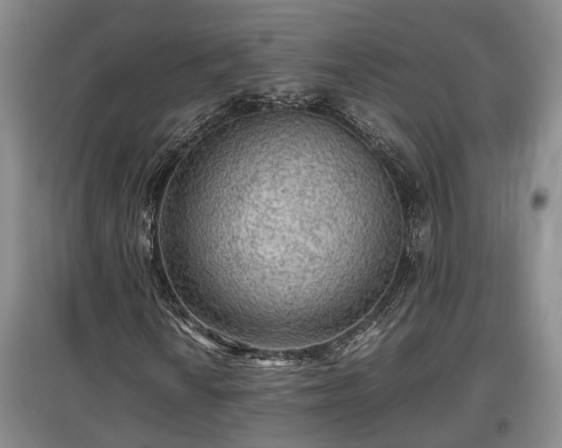 X0000097481010200802291353