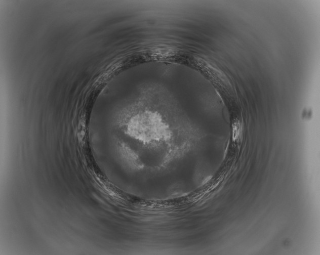 X0000097481011200802291353