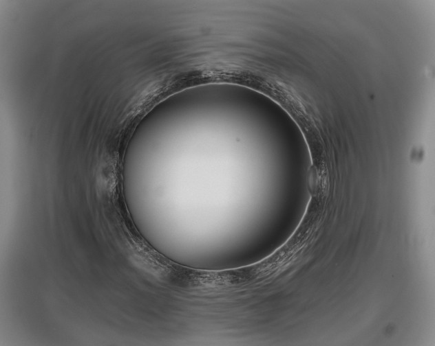 X0000097481012200802291353
