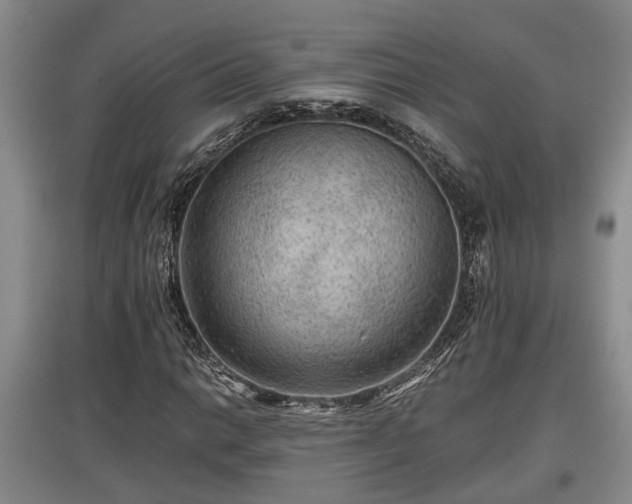 X0000097481014200802291353