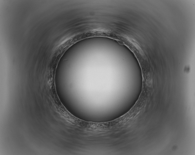 X0000097481015200802291353