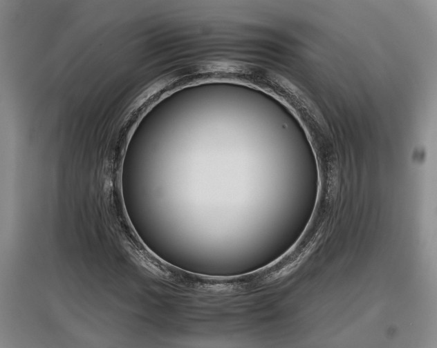 X0000097481017200802291353