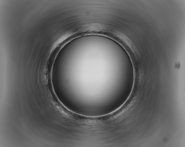 X0000097481018200802291353