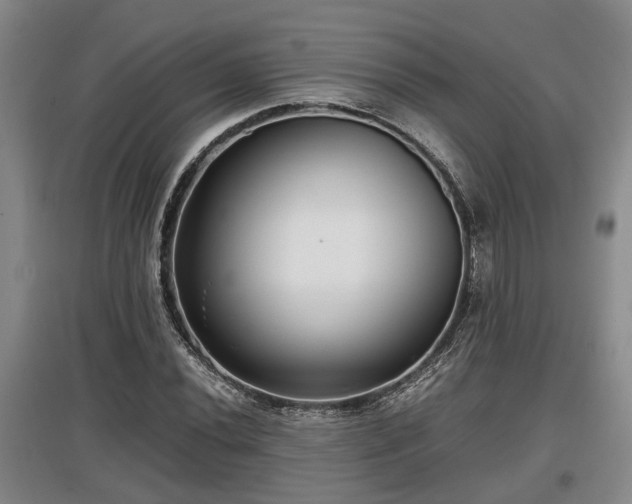 X0000097481020200802291353