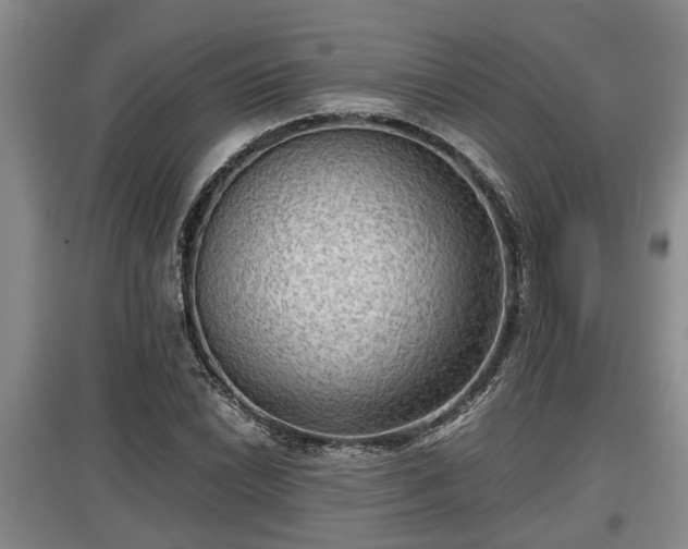 X0000097481022200802291353