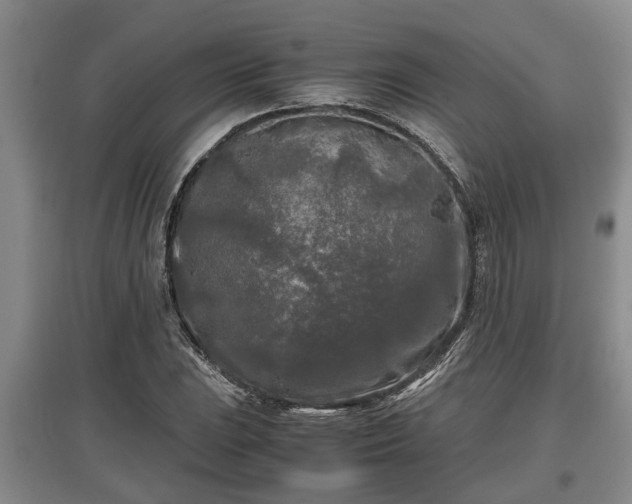 X0000097481023200802291353