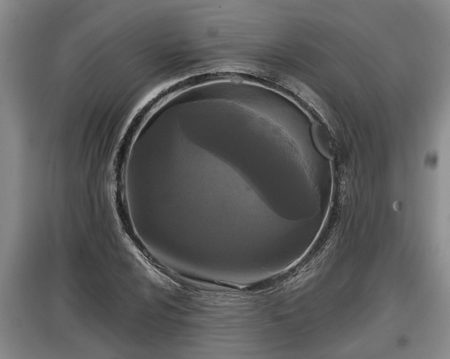 X0000097481024200802291353