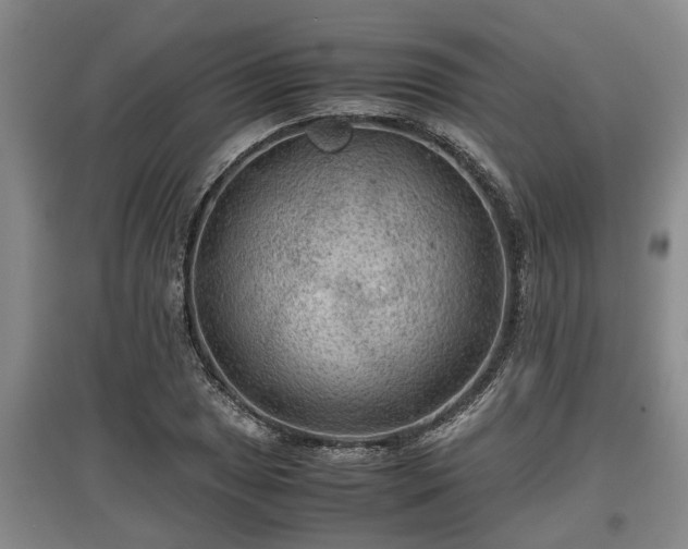 X0000097481025200802291353