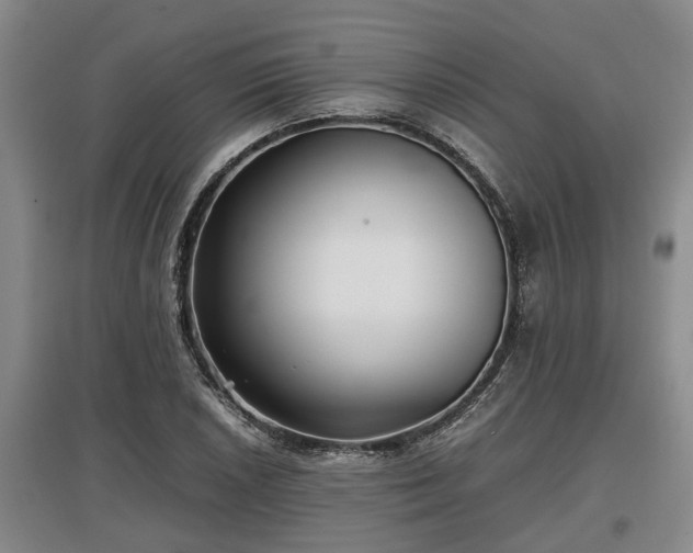 X0000097481026200802291353