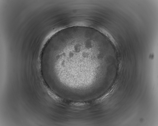 X0000097481027200802291353