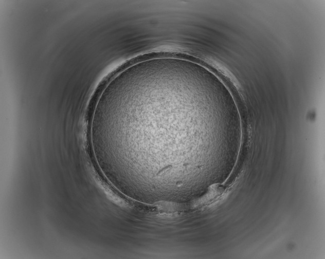 X0000097481029200802291353