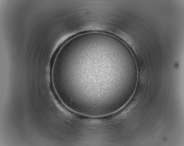 X0000097481030200802291353