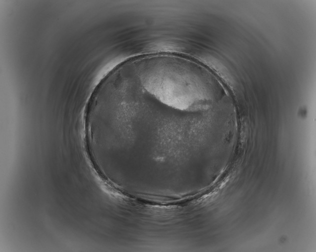 X0000097481031200802291353