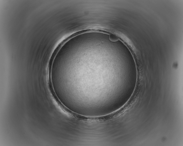 X0000097481032200802291353