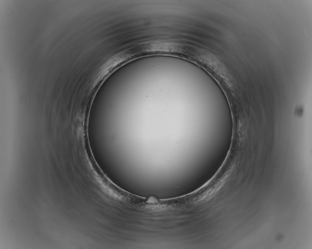 X0000097481033200802291353