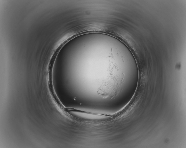 X0000097481034200802291354