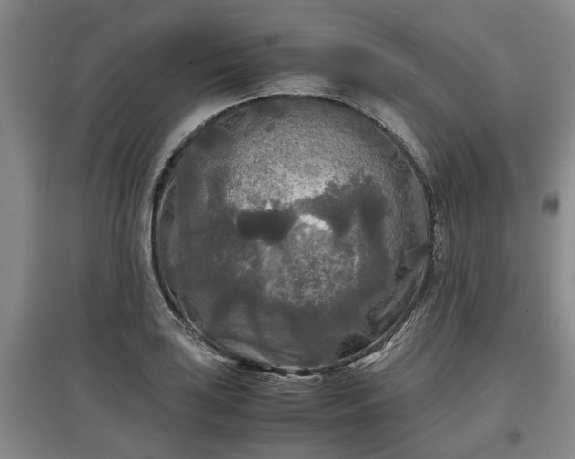 X0000097481035200802291354