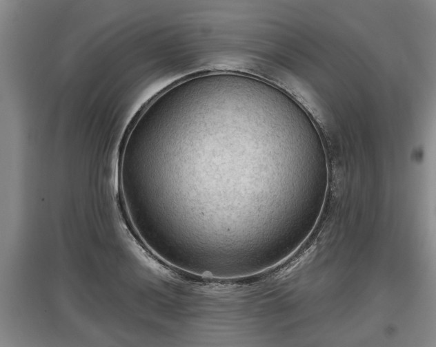X0000097481036200802291354