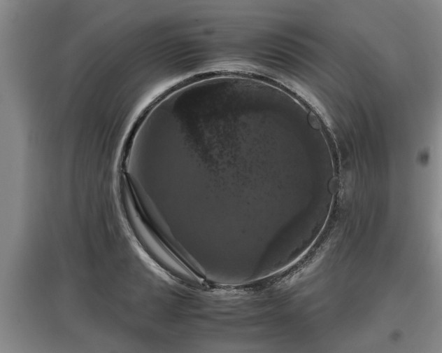 X0000097481037200802291354