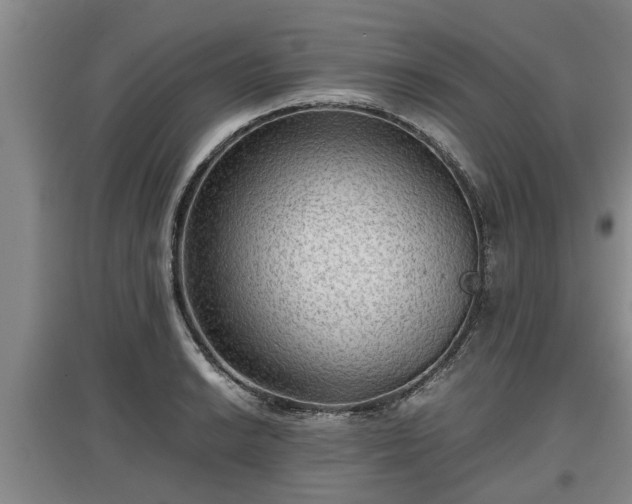 X0000097481038200802291354