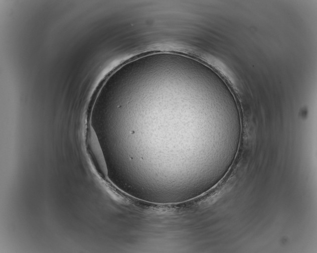 X0000097481040200802291354