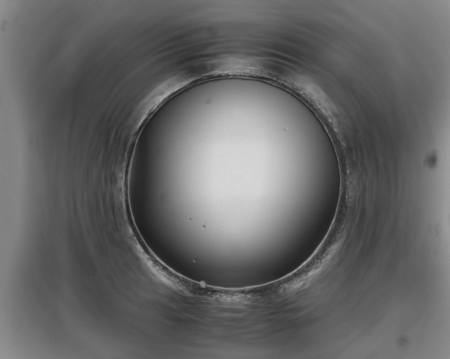 X0000097481041200802291354