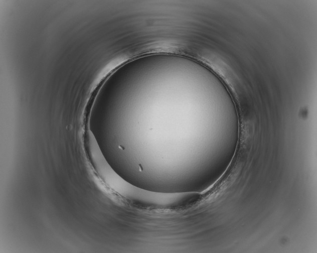 X0000097481042200802291354