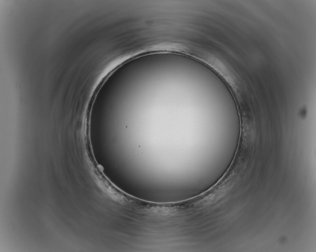 X0000097481044200802291354
