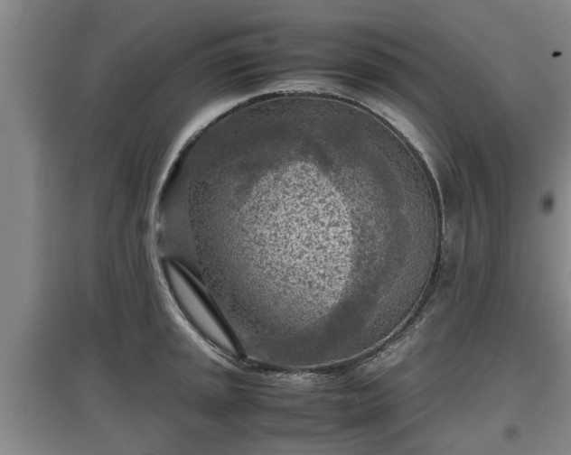 X0000097481045200802291354