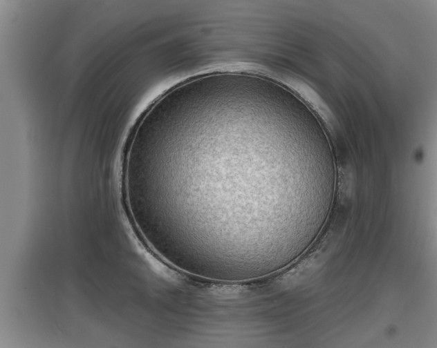 X0000097481046200802291354