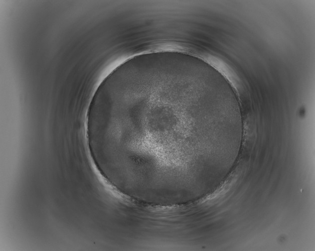 X0000097481047200802291354