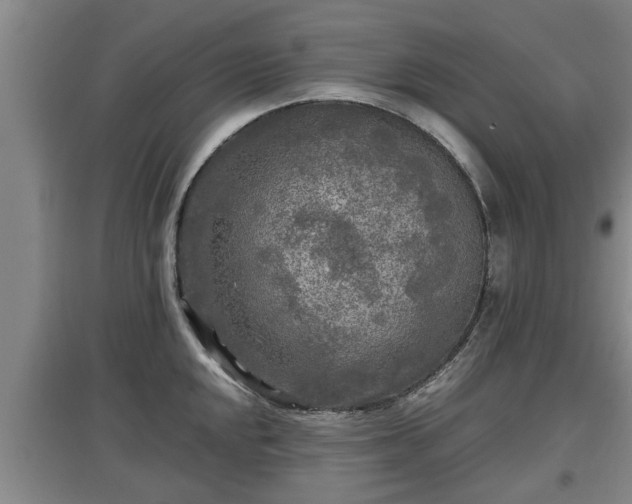 X0000097481048200802291354