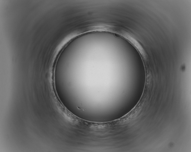 X0000097481051200802291354