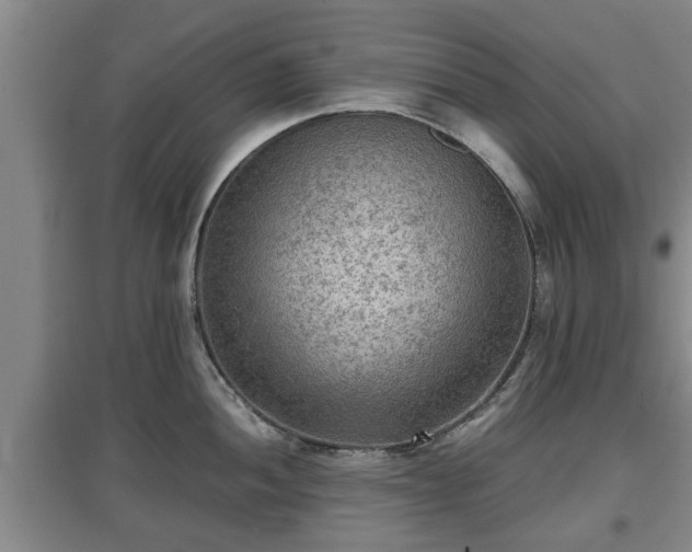 X0000097481052200802291354