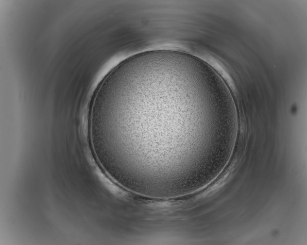 X0000097481054200802291354