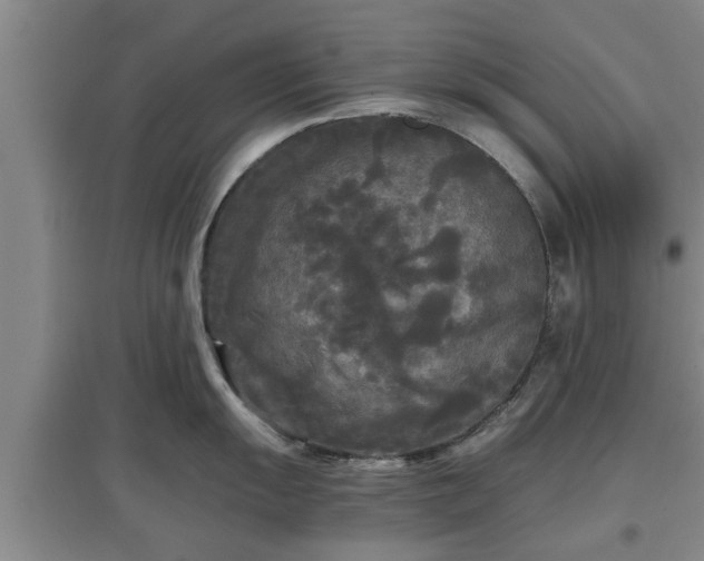X0000097481055200802291354