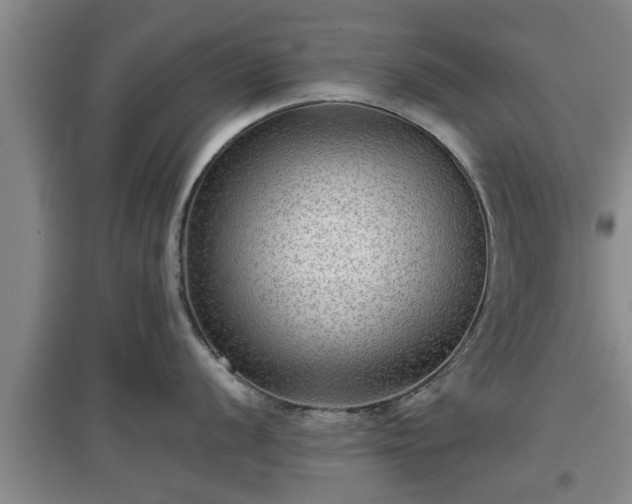 X0000097481056200802291354