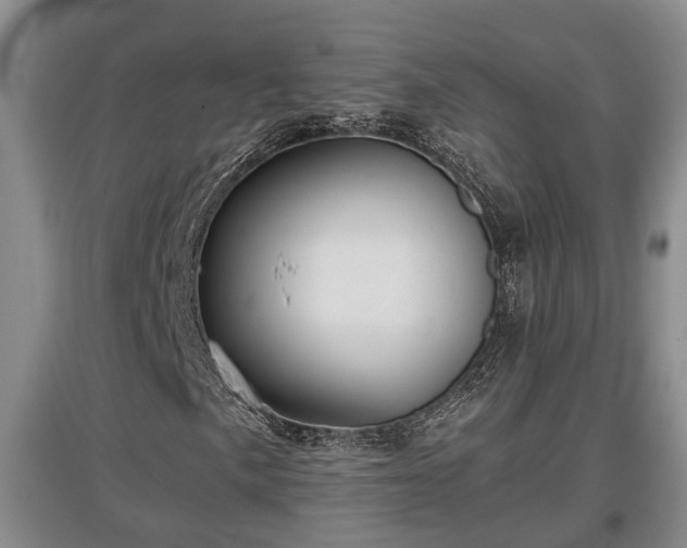 X0000097481057200802291353